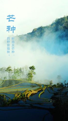 芒种霜降寒露中国风24节气