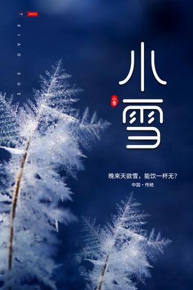 小雪节气海报蓝色卡通海报