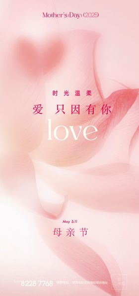 母亲节5月11日康乃馨粉色花儿美丽美