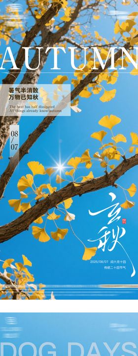 立秋末伏节气海报