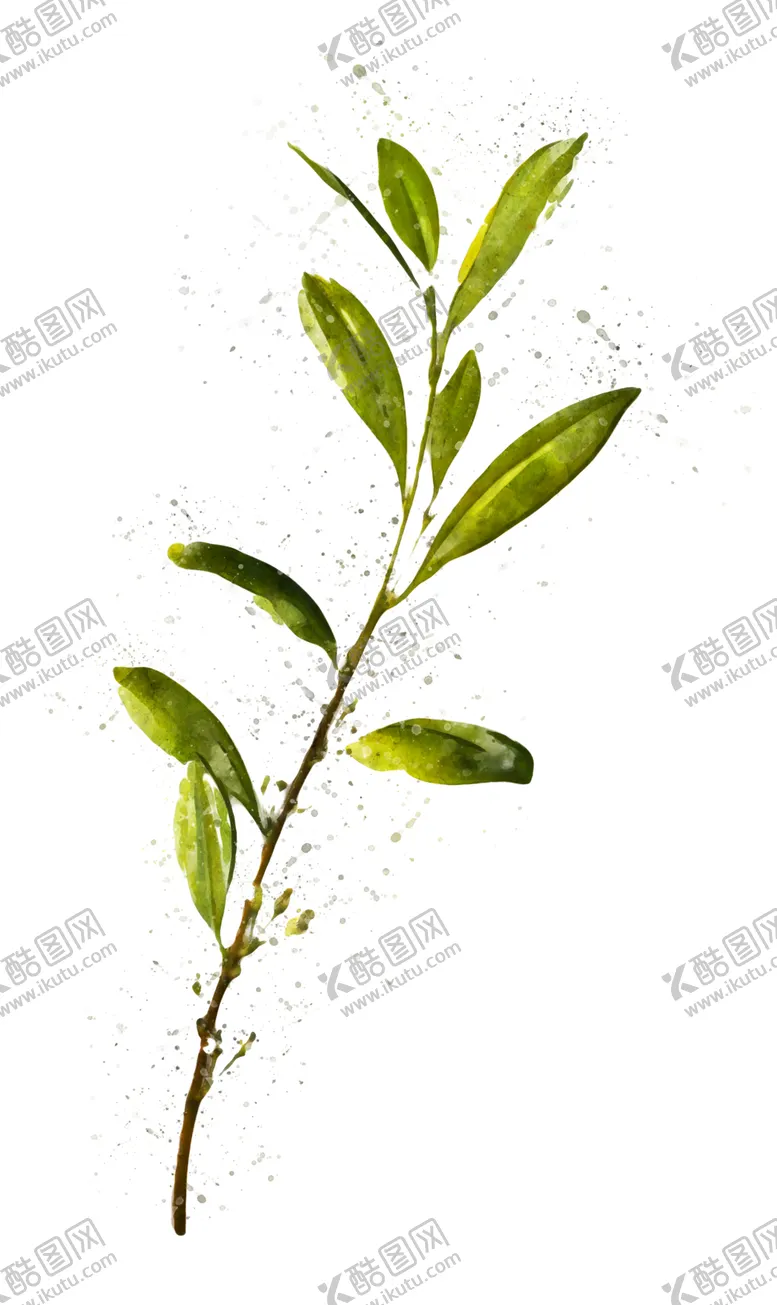 编号：65357606261317446497【酷图网】源文件下载-手绘花卉