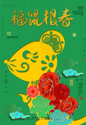 福鼠报春