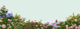 园林景观装饰元素绿植树木花草设计素材