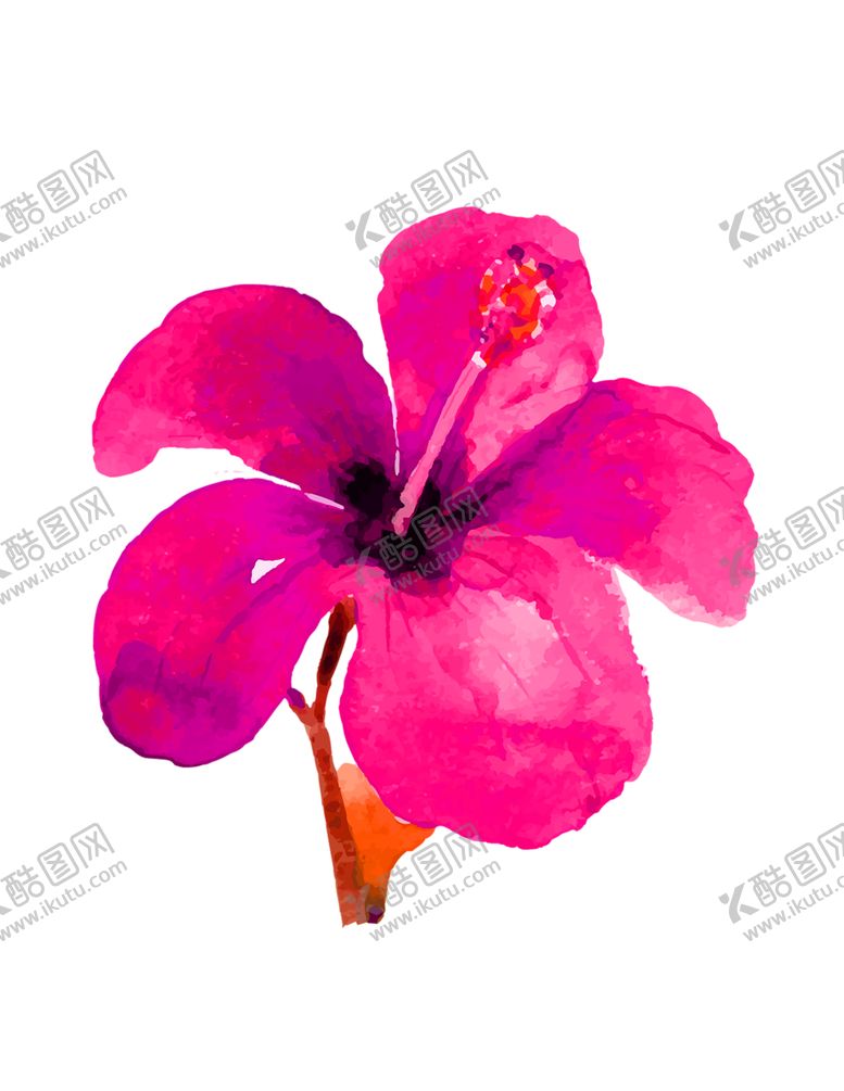 编号：23877205142255198630【酷图网】源文件下载-鲜花素材