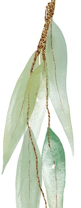 北欧小清新水彩植物图案
