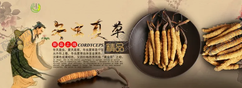 编号：74550905042145348127【酷图网】源文件下载-冬虫夏草