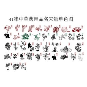 41味中草药品植物矢量图 AI