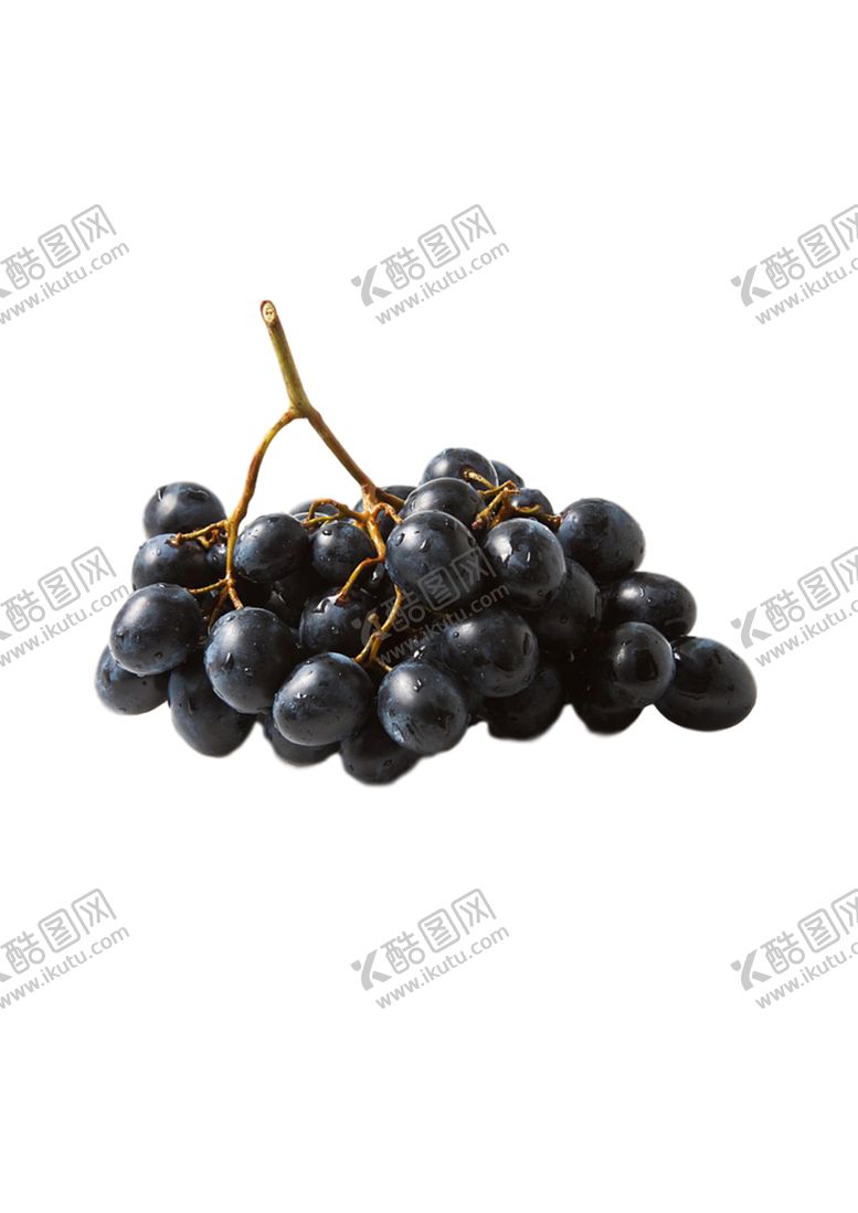编号：41014405142041183486【酷图网】源文件下载-葡萄
