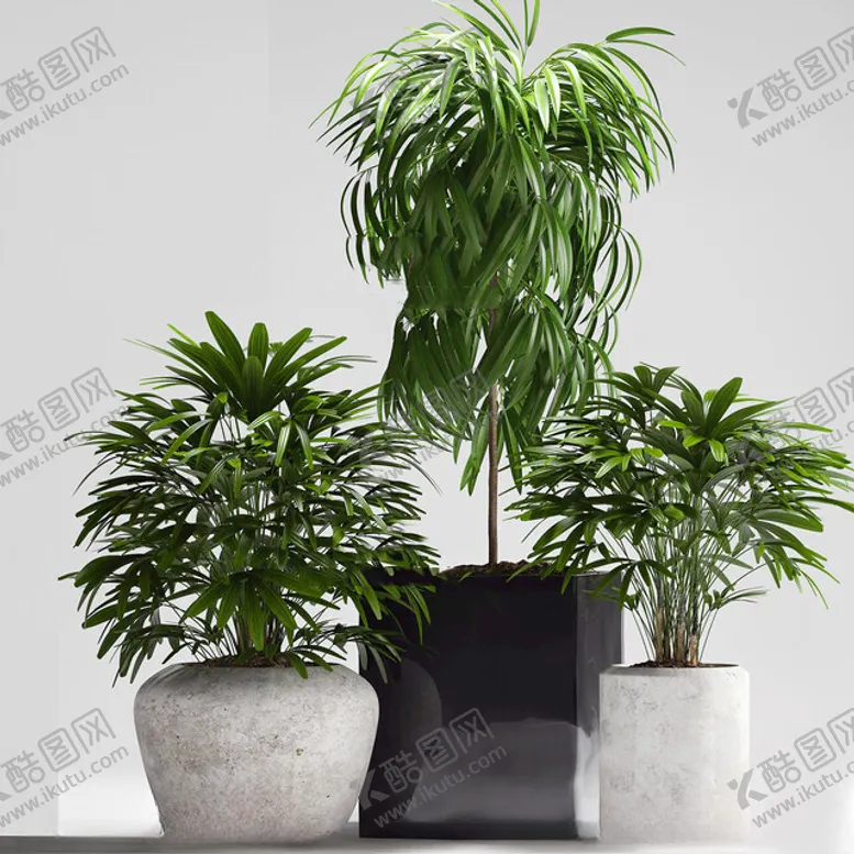 编号：26921002170929141486【酷图网】源文件下载-C4D模型绿色植物