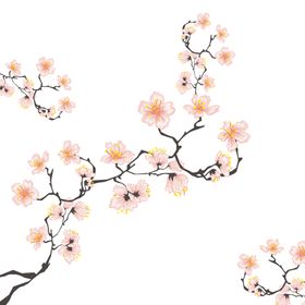 樱花创意