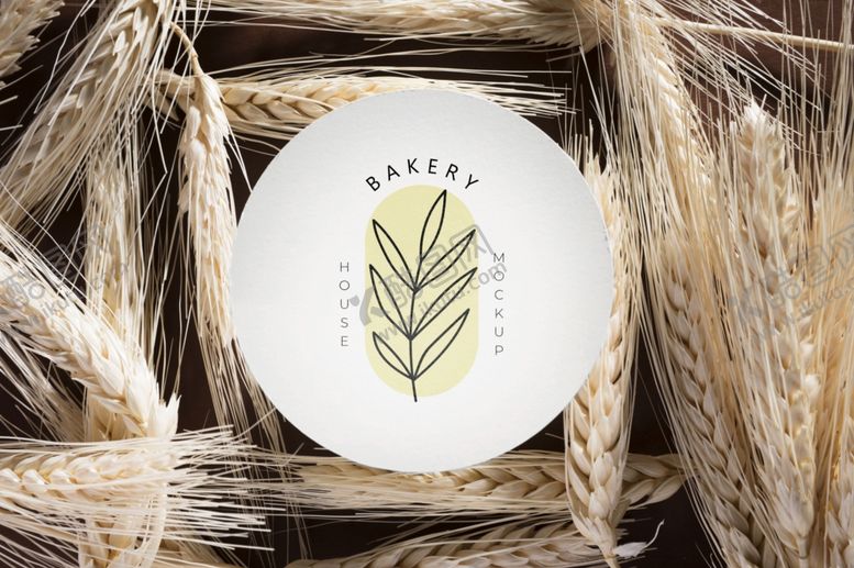 编号：25985410280826188973【酷图网】源文件下载-LOGO样机