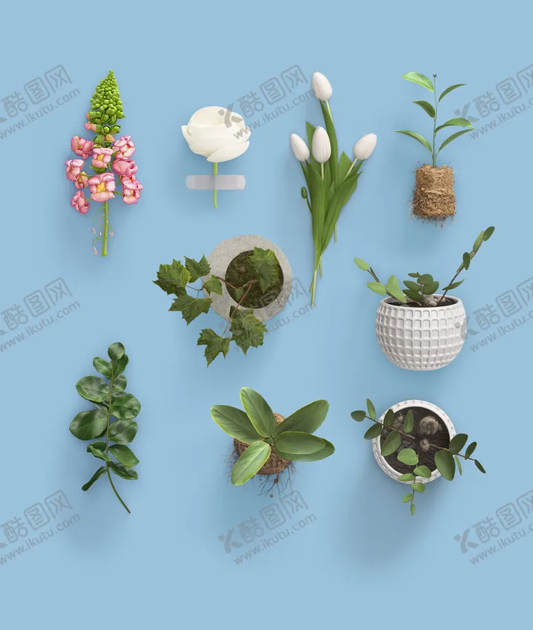 编号：72645110040917160376【酷图网】源文件下载-植物样机