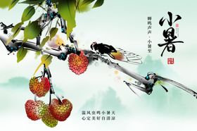 小暑节气宣传海报