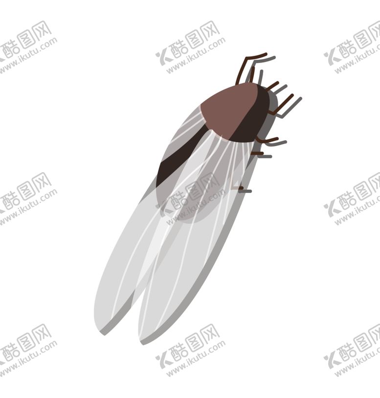 编号：81999306251835112793【酷图网】源文件下载-手绘卡通知了蝉昆虫动物插画