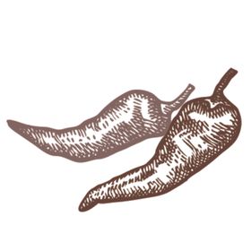 餐饮食物插画元素