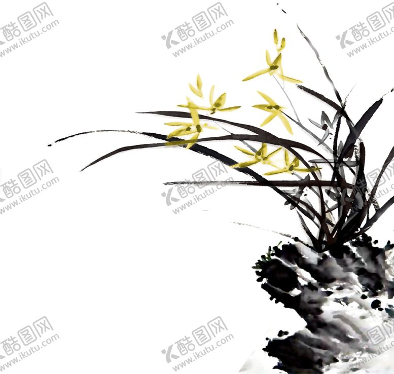 编号：88144701292105594002【酷图网】源文件下载-兰花