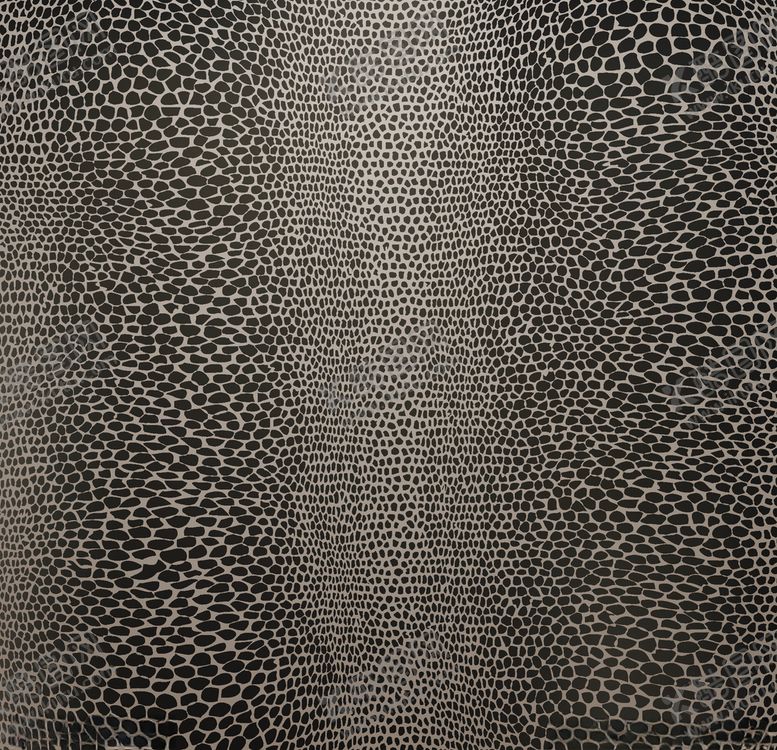 编号：98123010280823154271【酷图网】源文件下载-蛇皮