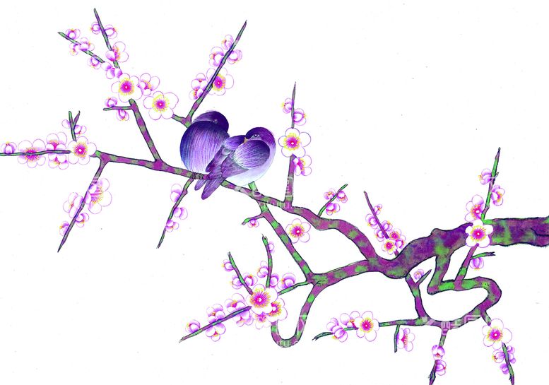 编号：25897009251028004325【酷图网】源文件下载-花鸟画 