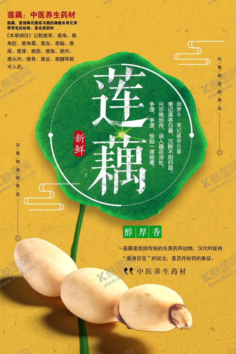 编号：71520901210416594418【酷图网】源文件下载-莲藕