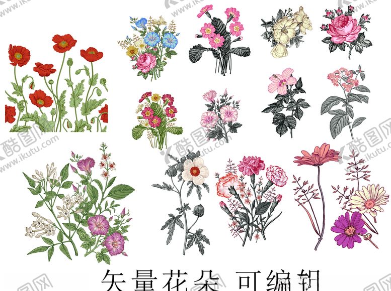 编号：88078210060711261759【酷图网】源文件下载-矢量花朵