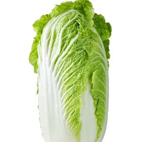 大白菜