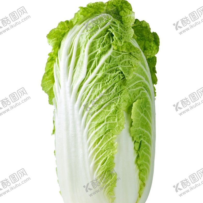编号：73835310240844499392【酷图网】源文件下载-大白菜
