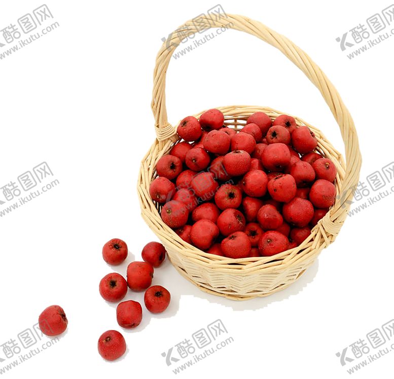 编号：81609910121958326770【酷图网】源文件下载-水果