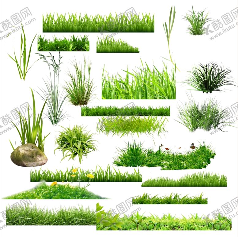 编号：48405410011213117005【酷图网】源文件下载-草地