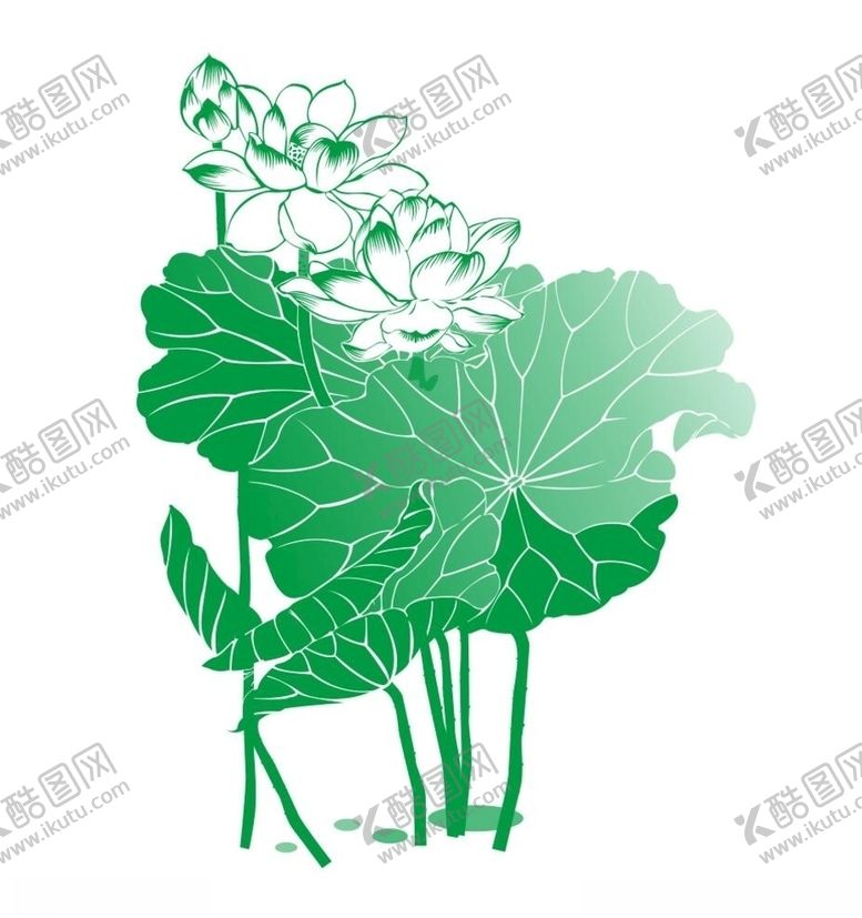 编号：58404107021347478532【酷图网】源文件下载-荷花
