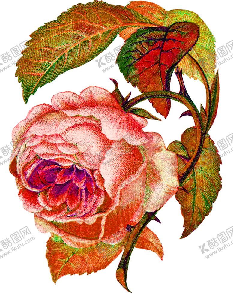 编号：50525609201315099104【酷图网】源文件下载-鲜花素材