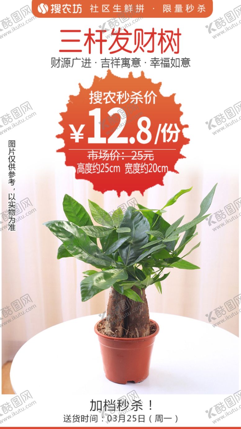 编号：41969610300555085896【酷图网】源文件下载-三杆发财树秒杀
