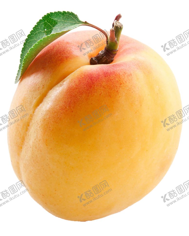 编号：12732509232328573360【酷图网】源文件下载-水果