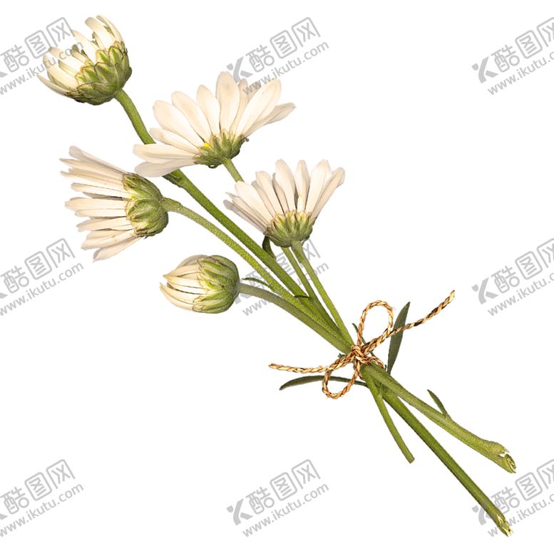 编号：78919609201410064930【酷图网】源文件下载-鲜花素材