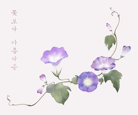 手绘花卉图片