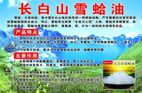 长白山雪蛤油