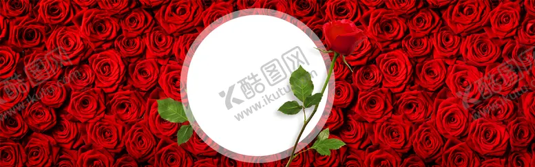 编号：28796109240037153984【酷图网】源文件下载-鲜花背景
