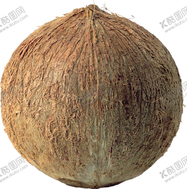 编号：89349510090454035466【酷图网】源文件下载-椰子