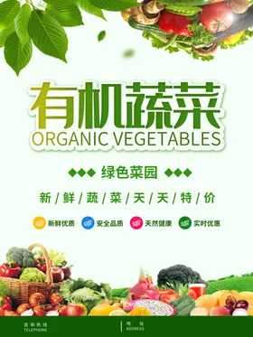 有机蔬菜