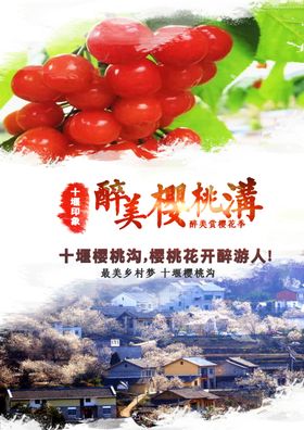 十堰樱桃沟生态旅游乡村景区海报