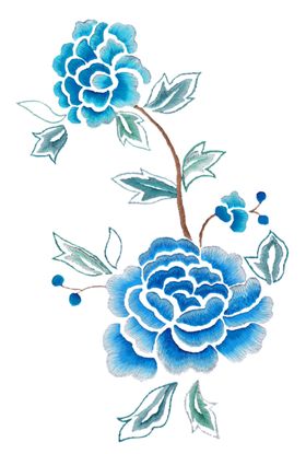 牡丹花