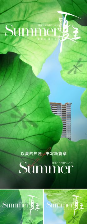 地产夏至节气海报二十四季阳光荷叶