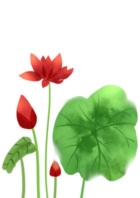荷花元素叶材鲜