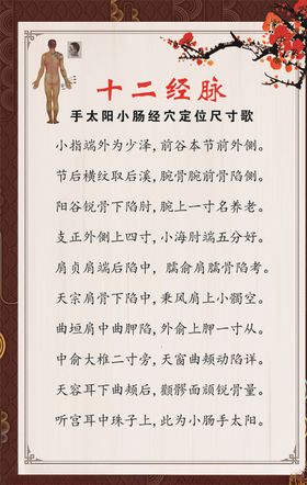 手太阳小肠经穴定位尺寸歌
