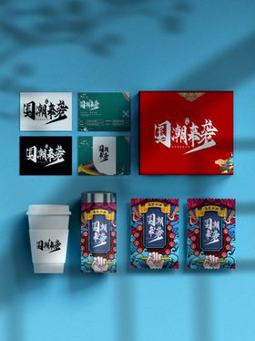 中国风VI样机