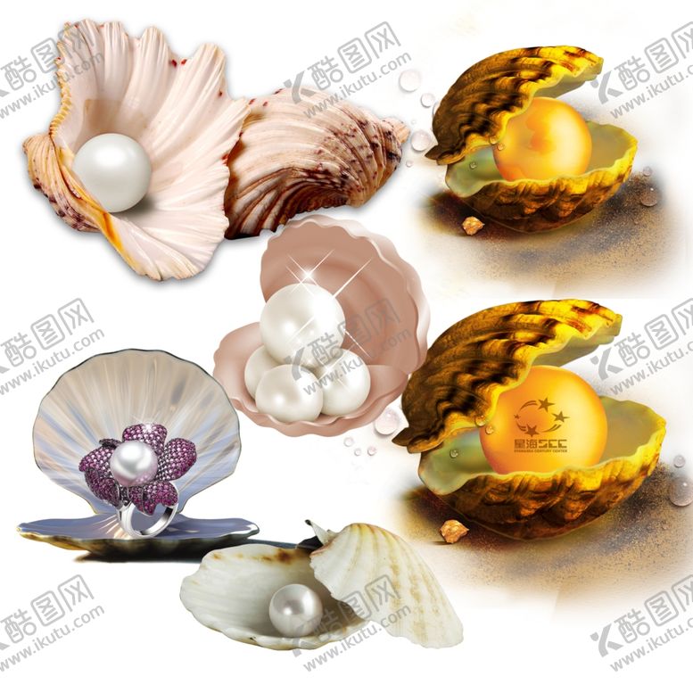 编号：97726709270357053821【酷图网】源文件下载-珍珠贝壳