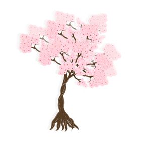 樱花素材粉色展架宣传粉色朵