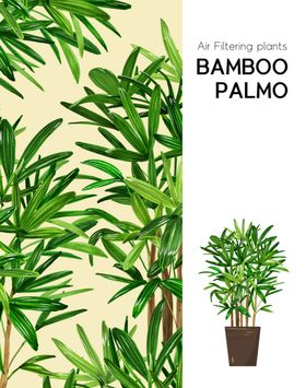 手绘植物