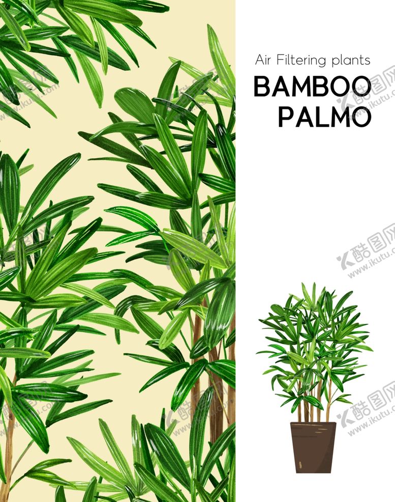 编号：39511509110759045867【酷图网】源文件下载-手绘植物