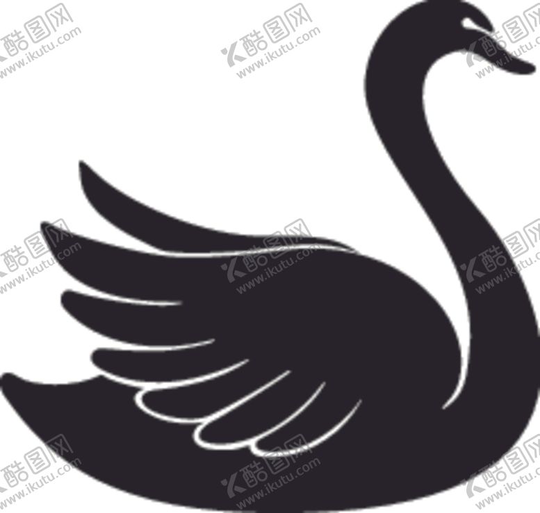 编号：24632509282013124442【酷图网】源文件下载-野生动物系黑天鹅