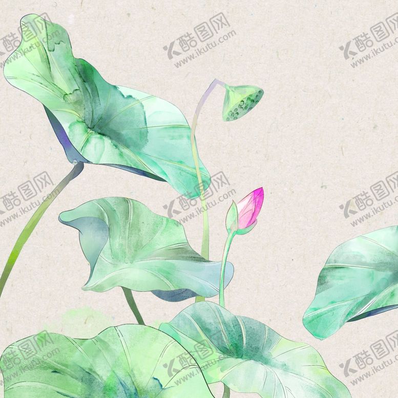 编号：64739805061824567520【酷图网】源文件下载-手绘荷花